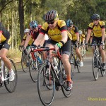 1129_186-waratah-web-mike-shelley-etc